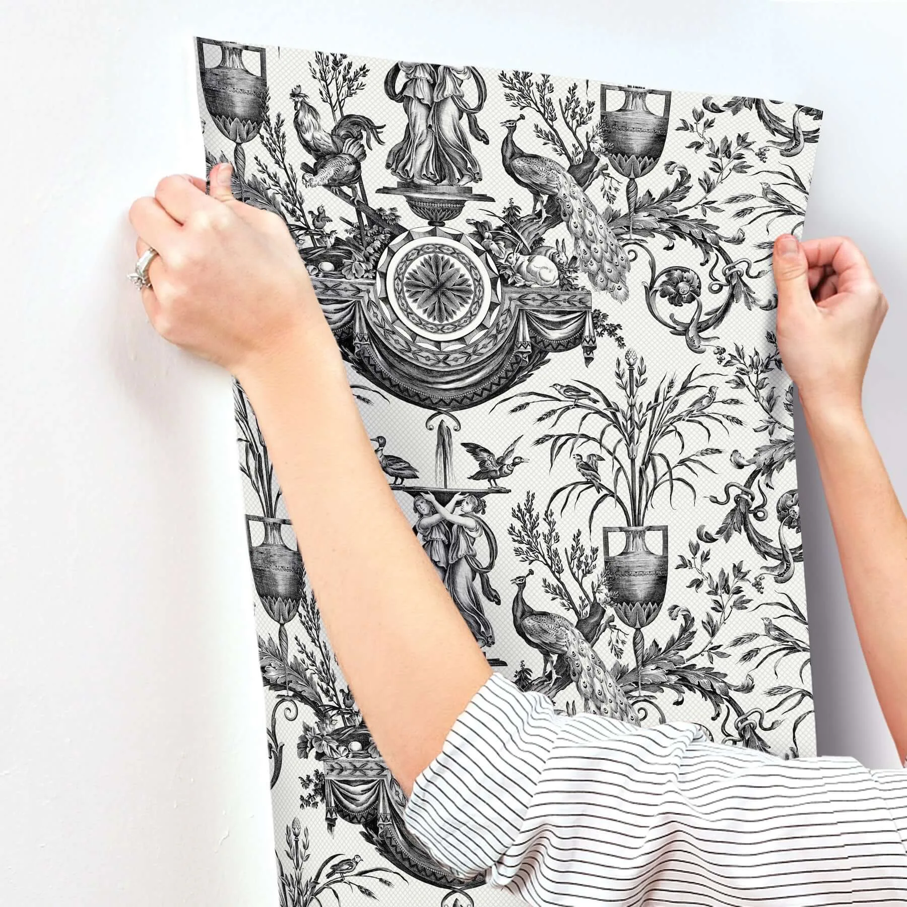 York Wallcoverings Avian Fountain Toile wallpaper, color Black, SKU RT7813