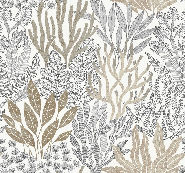 York Wallcoverings Coral Leaves wallpaper, color Taupe & Black, SKU RT7802