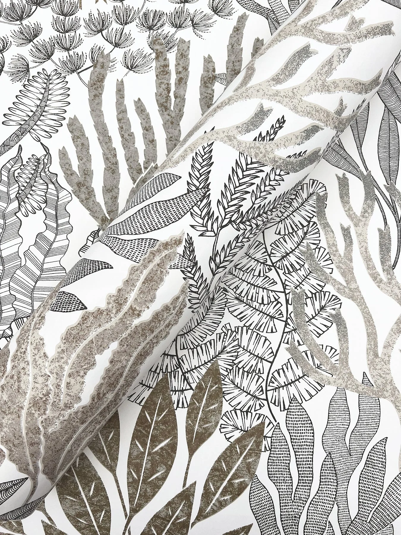 York Wallcoverings Coral Leaves wallpaper, color Taupe & Black, SKU RT7802