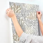 York Wallcoverings Coral Leaves wallpaper, color Taupe & Black, SKU RT7802