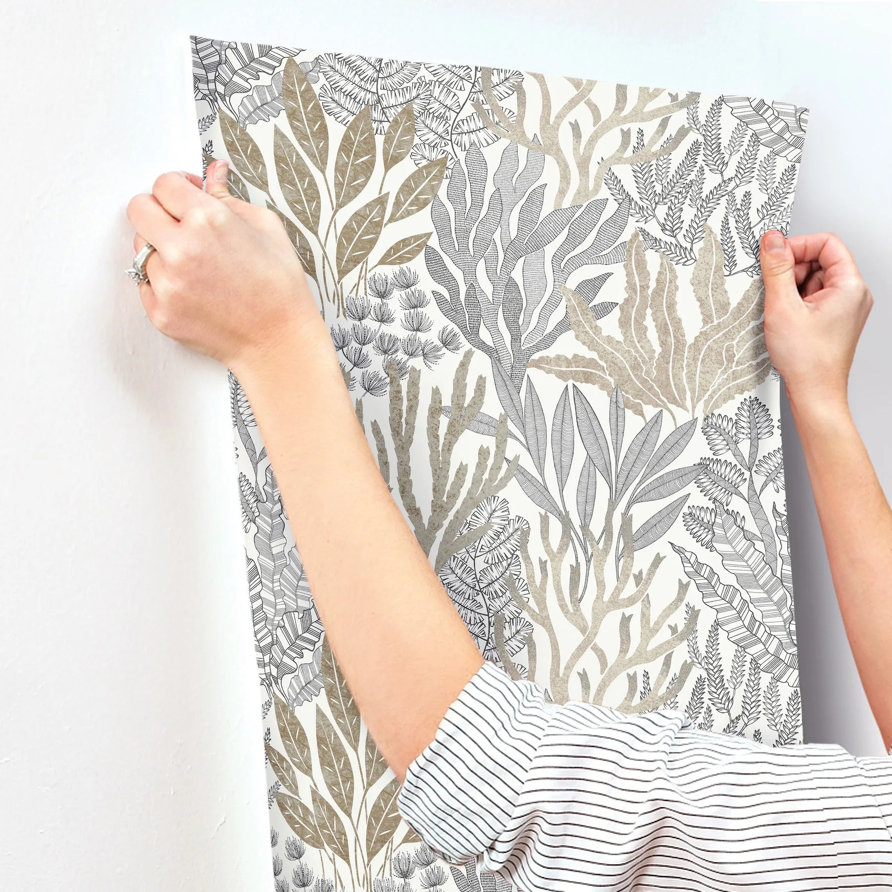 York Wallcoverings Coral Leaves wallpaper, color Taupe & Black, SKU RT7802