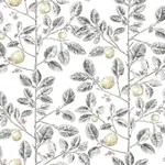 York Wallcoverings Limoncello Toile - Black Wallpaper | Buy Online York Wallcoverings Limoncello Toile wallpaper, color Black, SKU RT7912