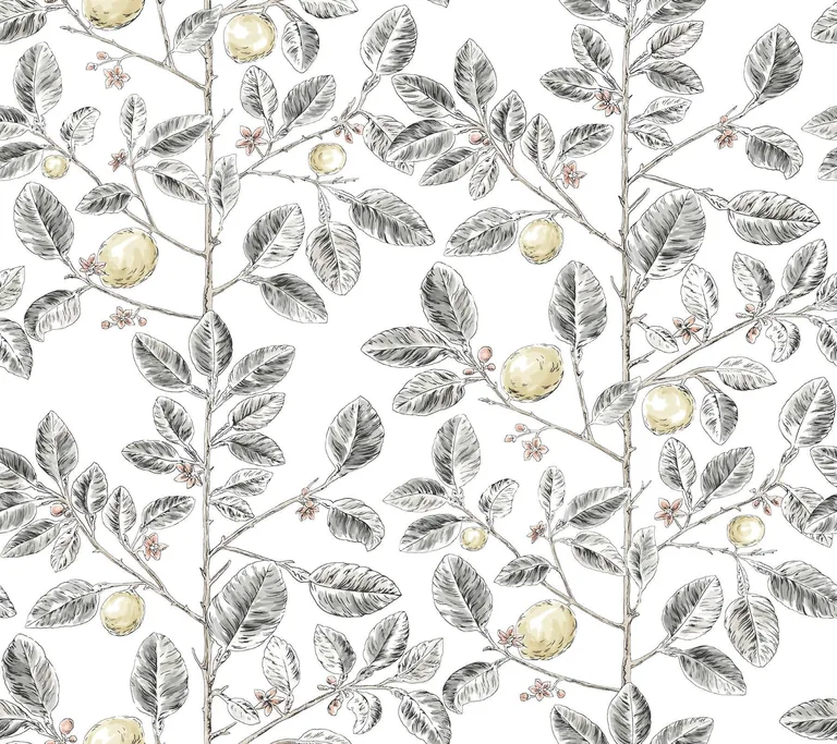 York Wallcoverings Limoncello Toile wallpaper, color Black, SKU RT7912