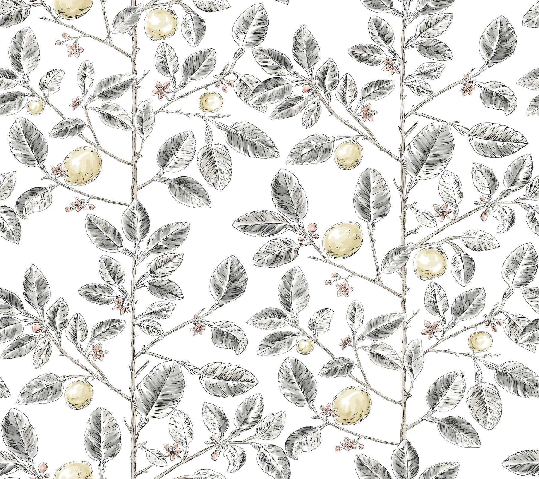York Wallcoverings Limoncello Toile wallpaper, color Black, SKU RT7912