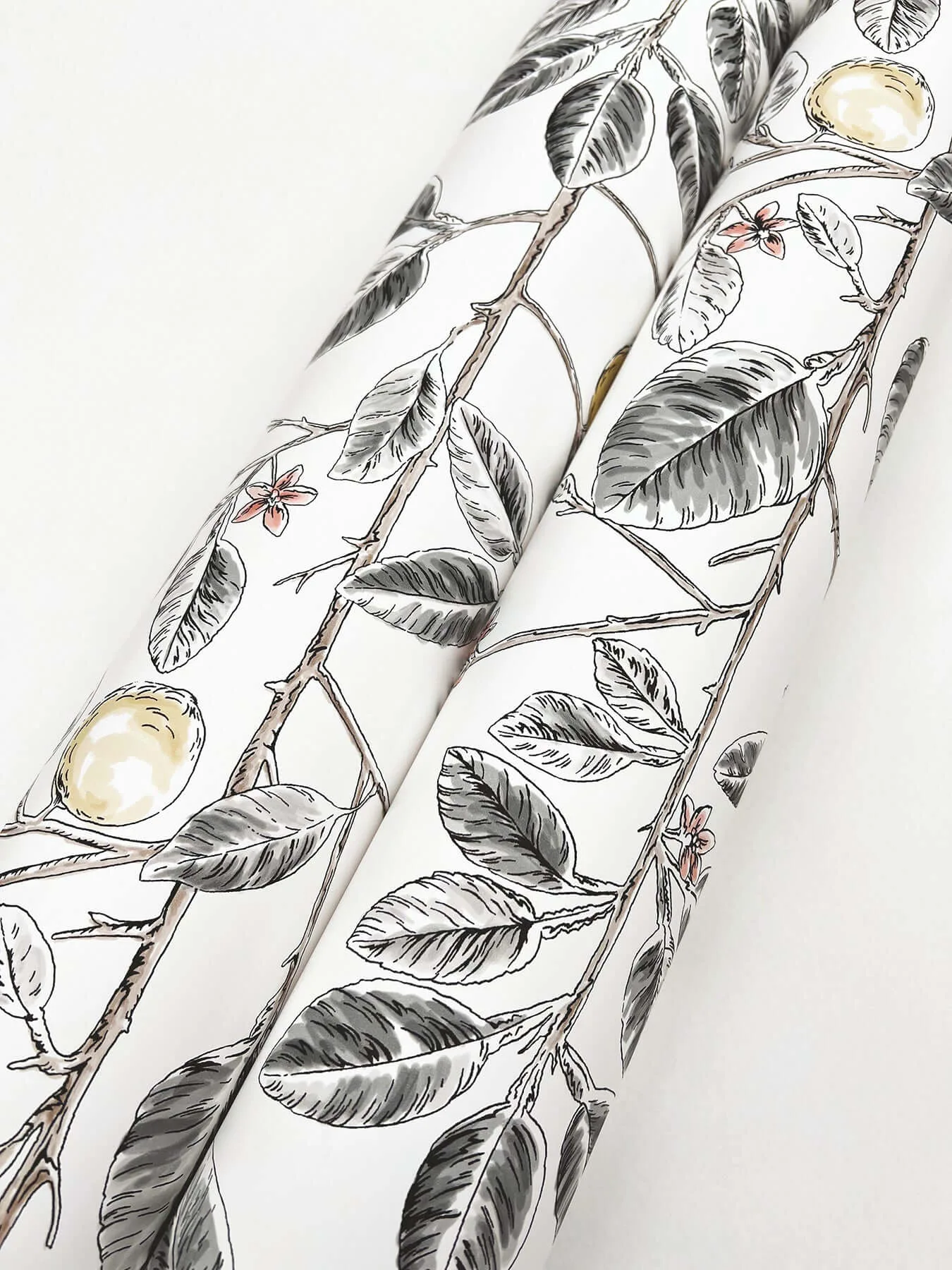 York Wallcoverings Limoncello Toile - Black Wallpaper | Buy Online York Wallcoverings Limoncello Toile wallpaper, color Black, SKU RT7912