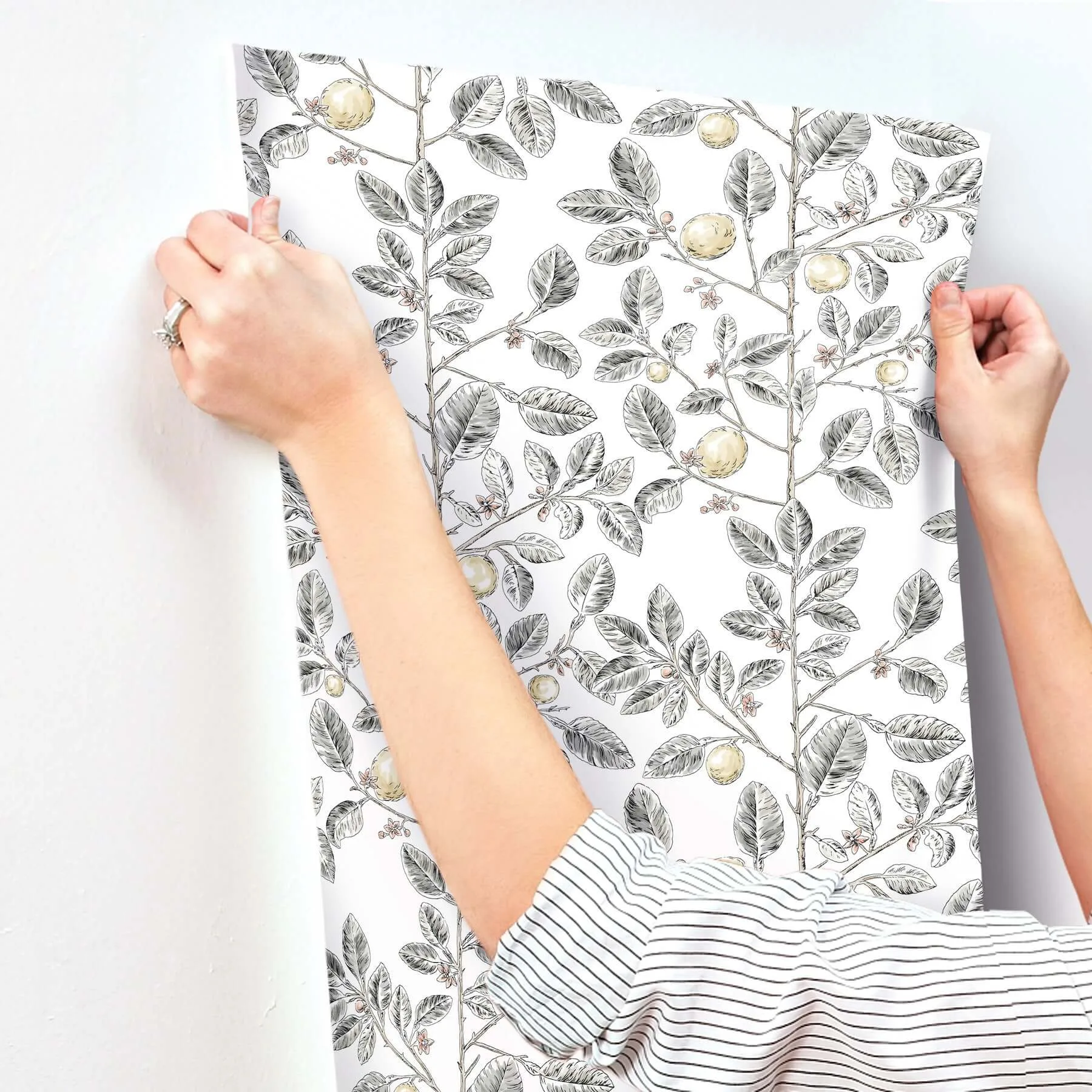 York Wallcoverings Limoncello Toile - Black Wallpaper | Buy Online York Wallcoverings Limoncello Toile wallpaper, color Black, SKU RT7912