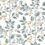 York Wallcoverings Limoncello Toile - Forest Wallpaper | Buy Online York Wallcoverings Limoncello Toile wallpaper, color Forest, SKU RT7914