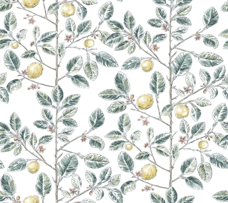 York Wallcoverings Limoncello Toile wallpaper, color Forest, SKU RT7914