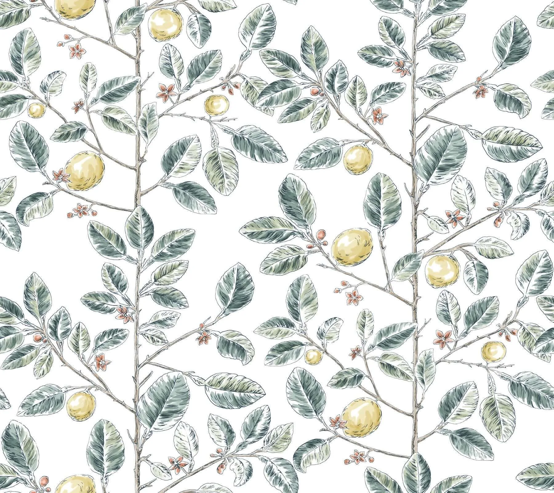 York Wallcoverings Limoncello Toile wallpaper, color Forest, SKU RT7914