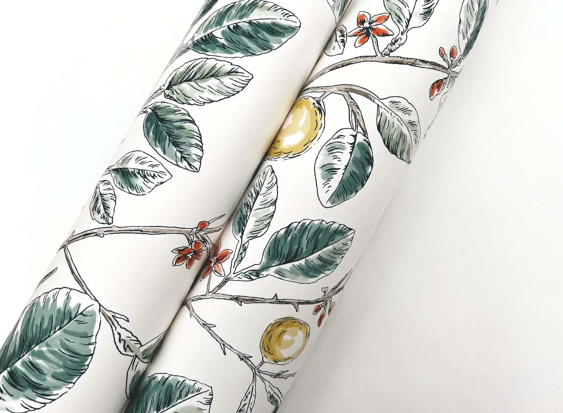 York Wallcoverings Limoncello Toile - Forest Wallpaper | Buy Online York Wallcoverings Limoncello Toile wallpaper, color Forest, SKU RT7914