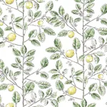 York Wallcoverings Limoncello Toile - Green Wallpaper | Buy Online York Wallcoverings Limoncello Toile wallpaper, color Green, SKU RT7911