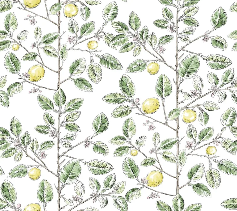 York Wallcoverings Limoncello Toile wallpaper, color Green, SKU RT7911