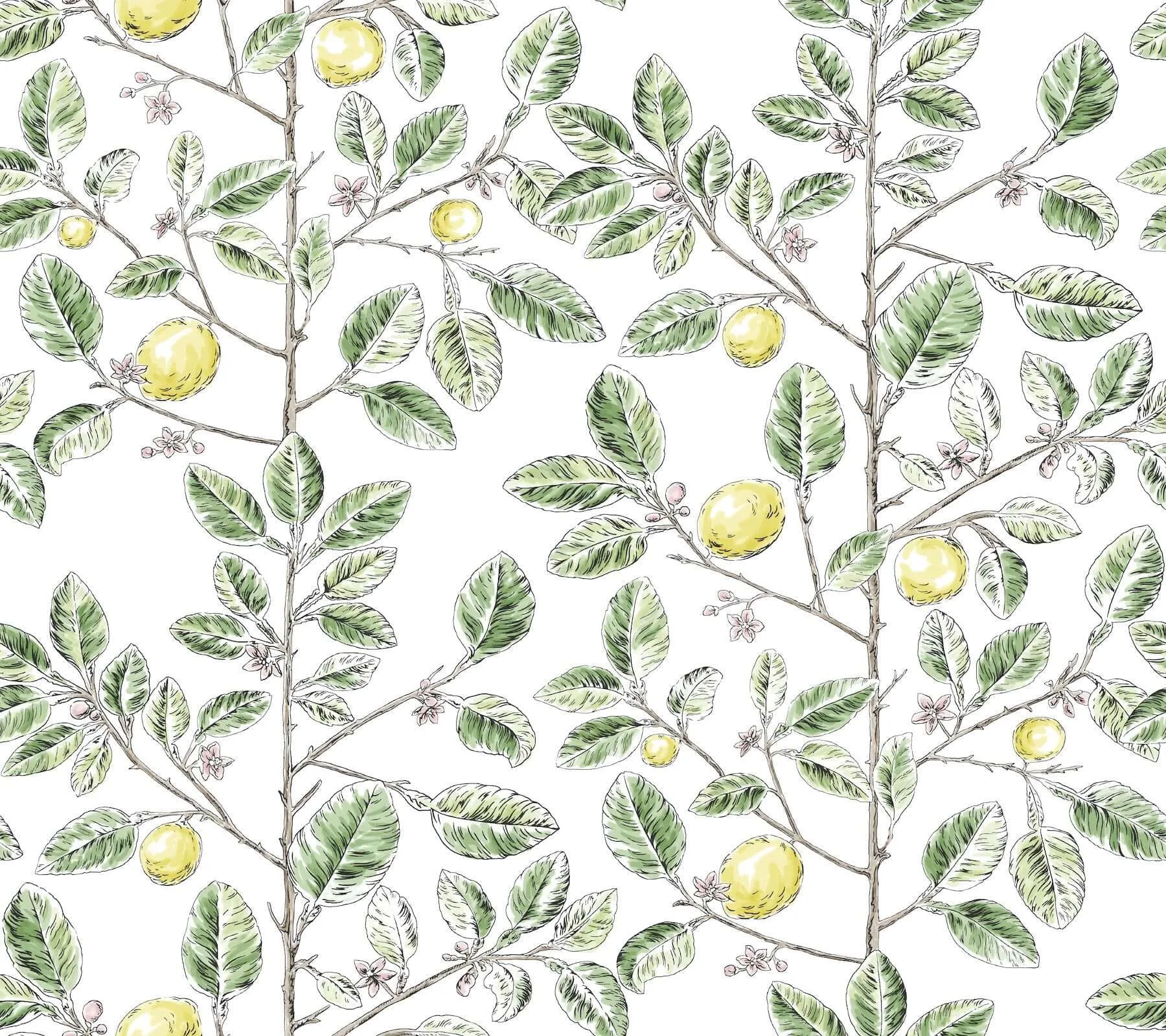 York Wallcoverings Limoncello Toile wallpaper, color Green, SKU RT7911