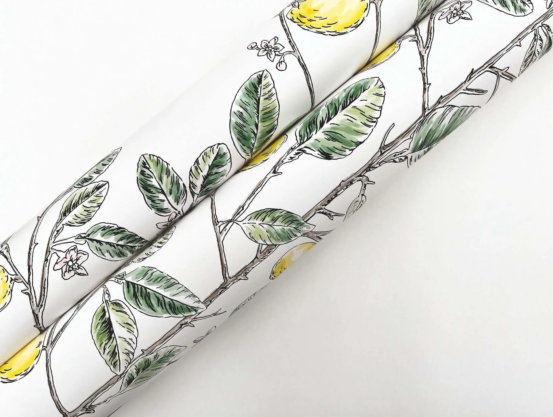 York Wallcoverings Limoncello Toile - Green Wallpaper | Buy Online York Wallcoverings Limoncello Toile wallpaper, color Green, SKU RT7911