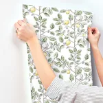 York Wallcoverings Limoncello Toile - Green Wallpaper | Buy Online York Wallcoverings Limoncello Toile wallpaper, color Green, SKU RT7911