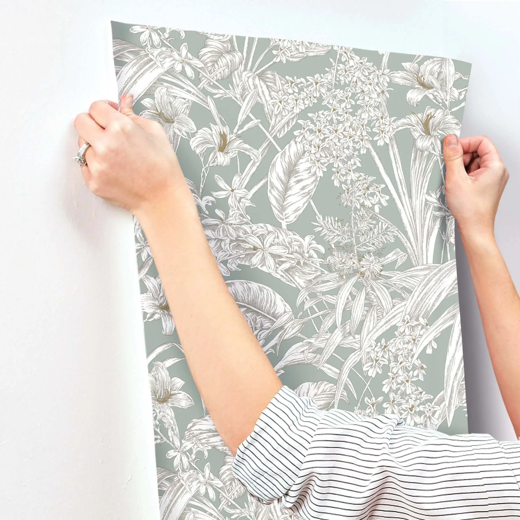 York Wallcoverings Orchid Conservatory Toile wallpaper, color Seamist & Taupe, SKU RT7882