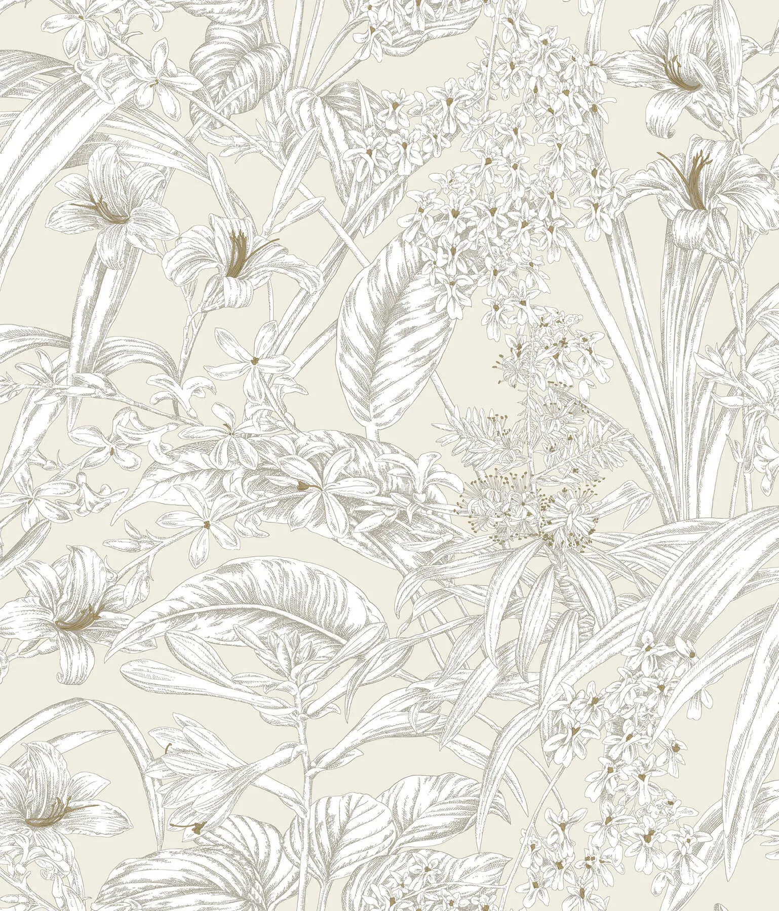 York Wallcoverings Orchid Conservatory Toile wallpaper, color Beige & Taupe, SKU RT7883