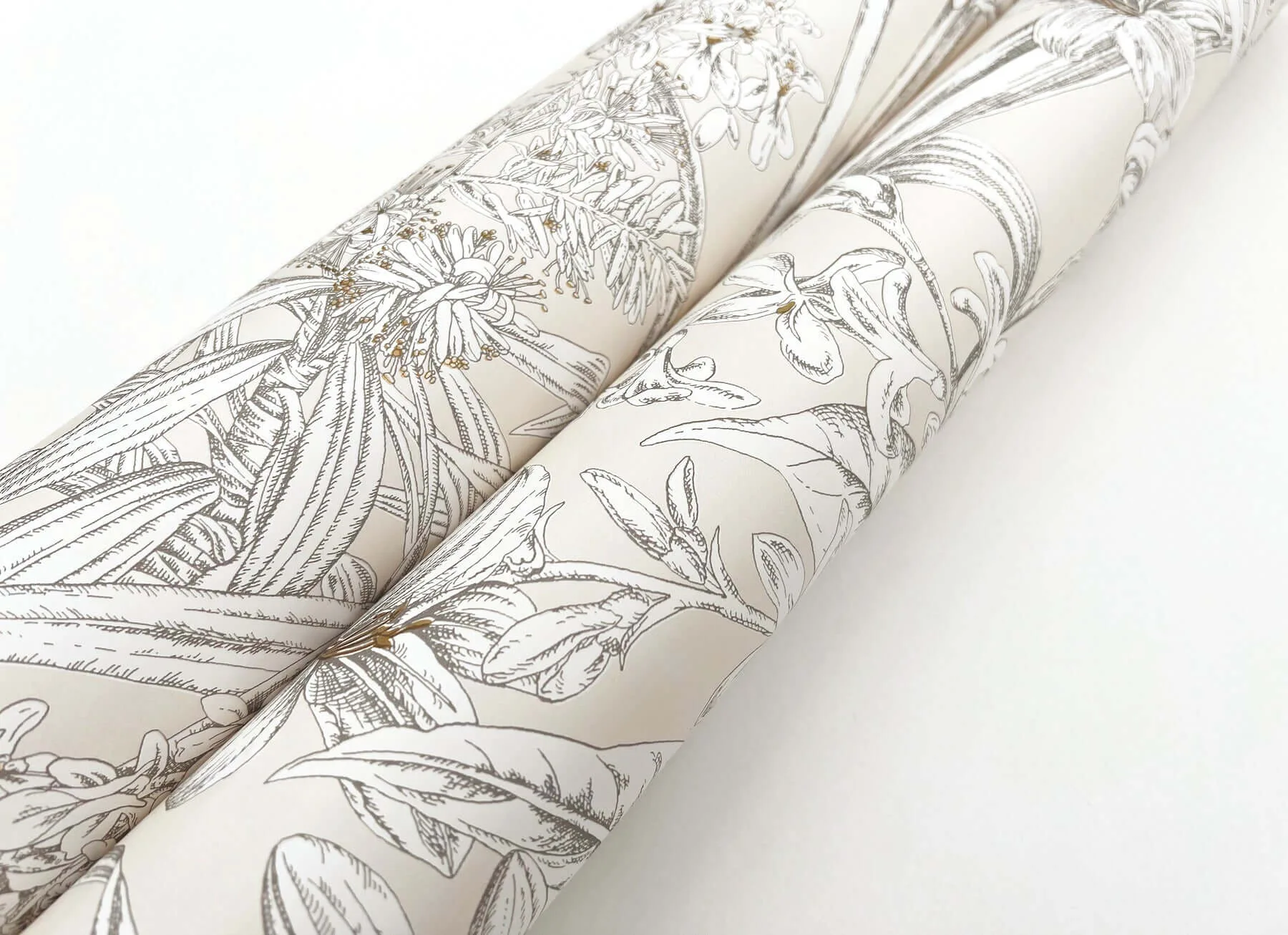 York Wallcoverings Orchid Conservatory Toile wallpaper, color Beige & Taupe, SKU RT7883