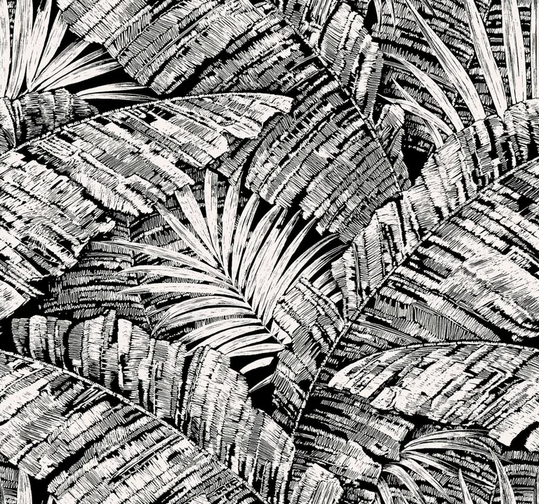 York Wallcoverings Palm Cove Toile wallpaper, color White & Black, SKU RT7921