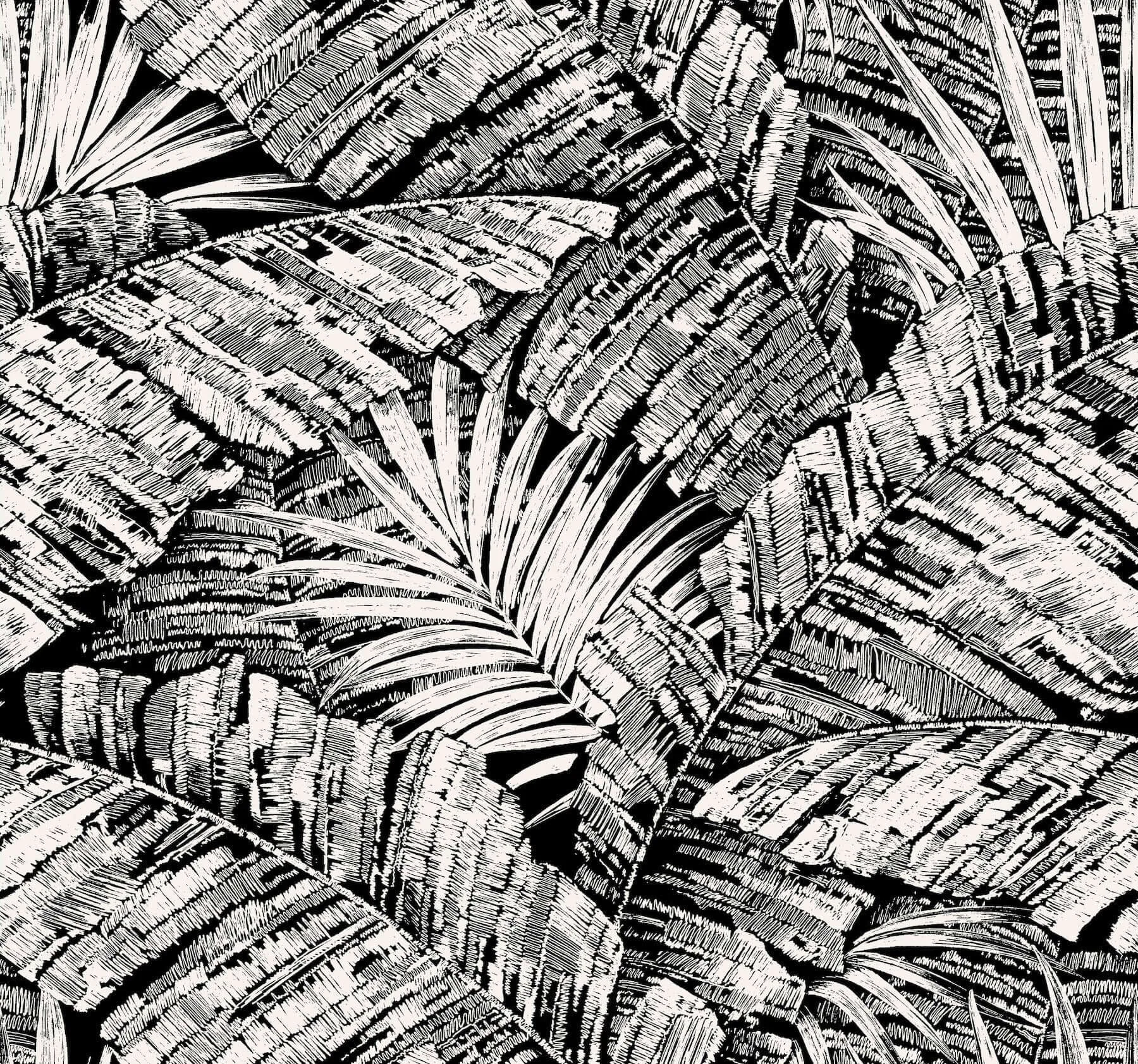 York Wallcoverings Palm Cove Toile wallpaper, color White & Black, SKU RT7921