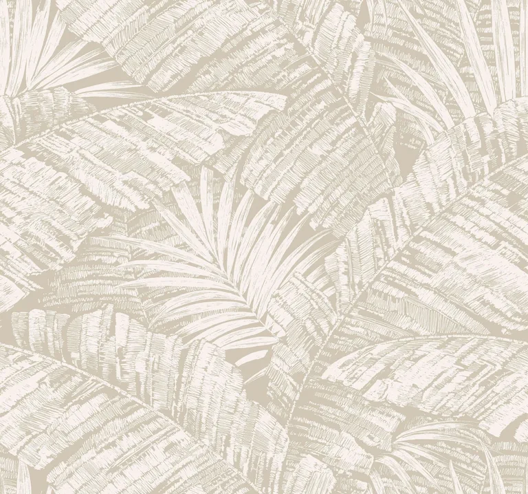 York Wallcoverings Palm Cove Toile wallpaper, color White & Taupe, SKU RT7926