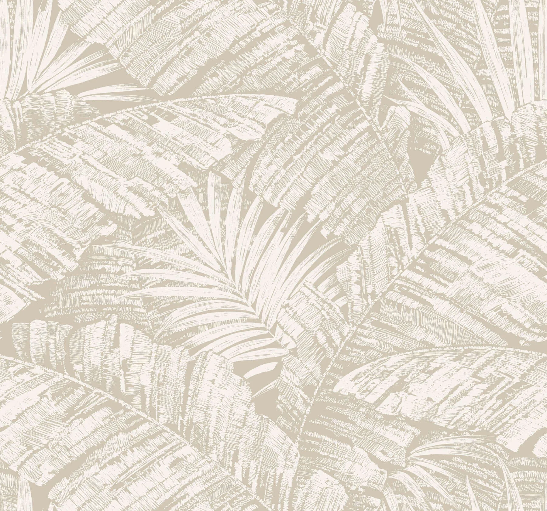 York Wallcoverings Palm Cove Toile wallpaper, color White & Taupe, SKU RT7926