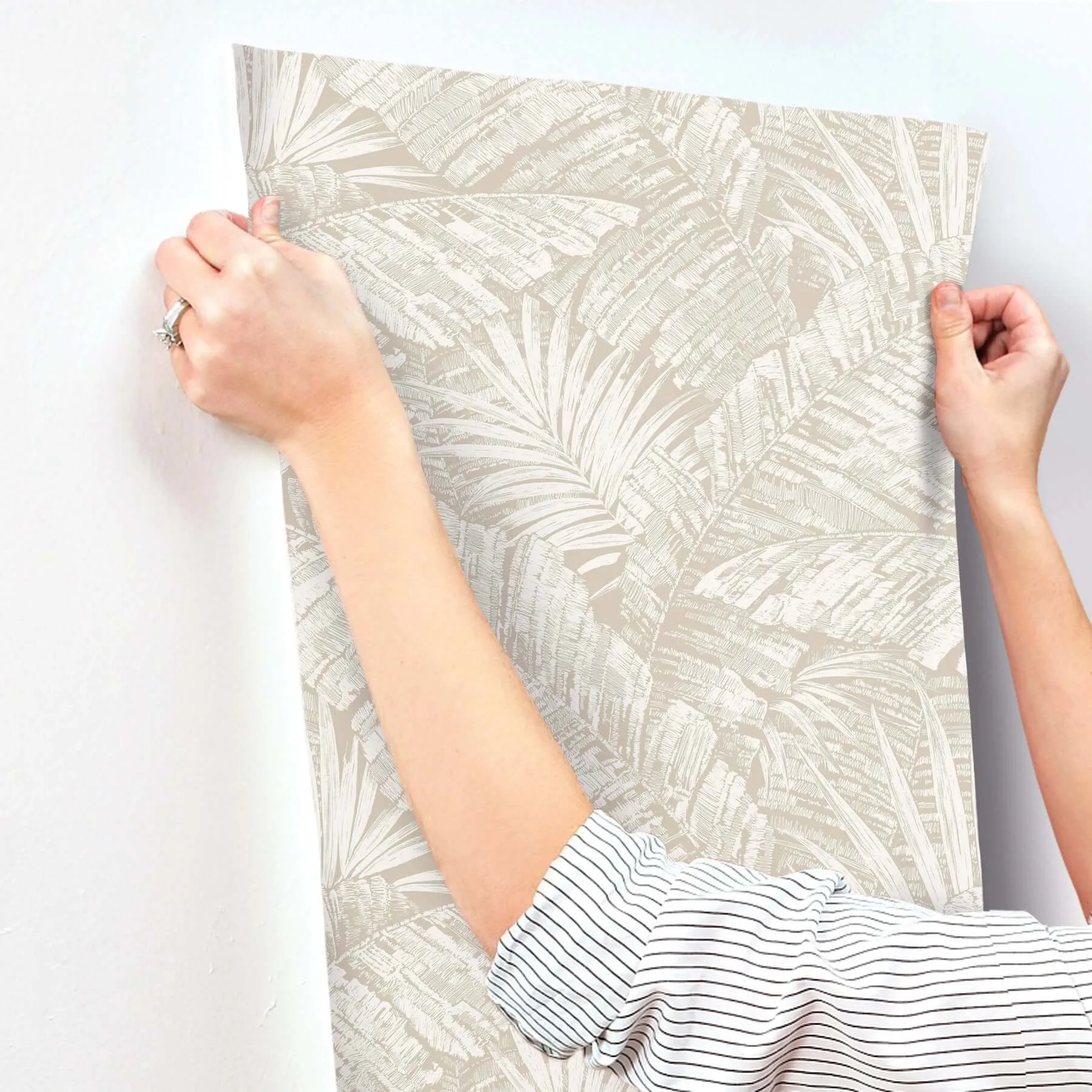 York Wallcoverings Palm Cove Toile wallpaper, color White & Taupe, SKU RT7926