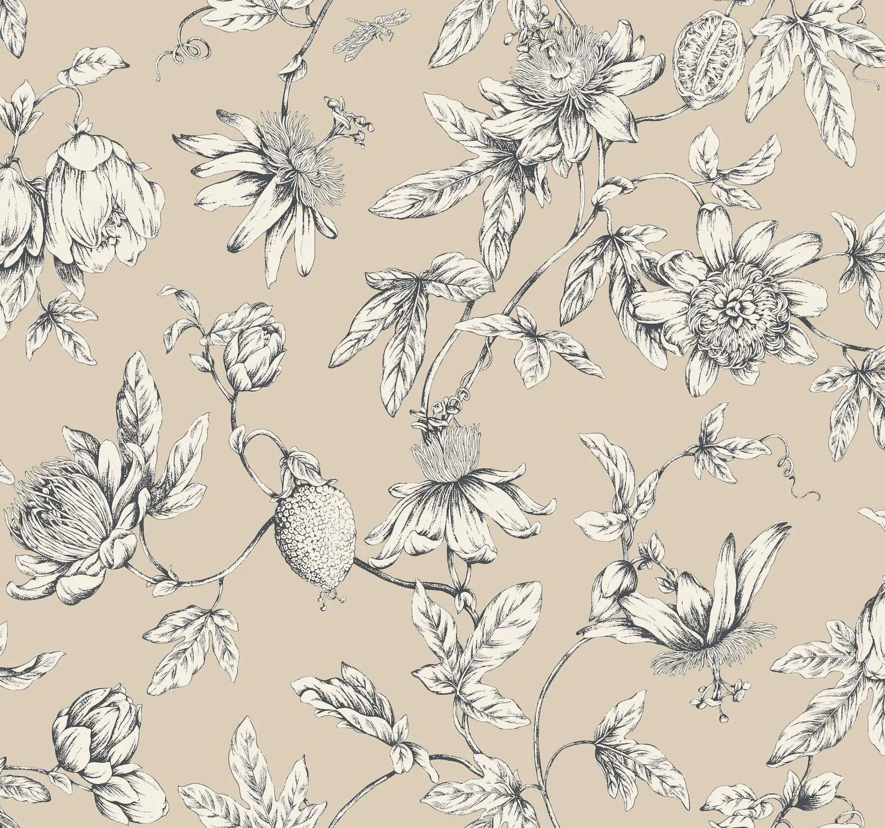 York Wallcoverings Passion Flower Toile wallpaper, color Beige, SKU RT7854
