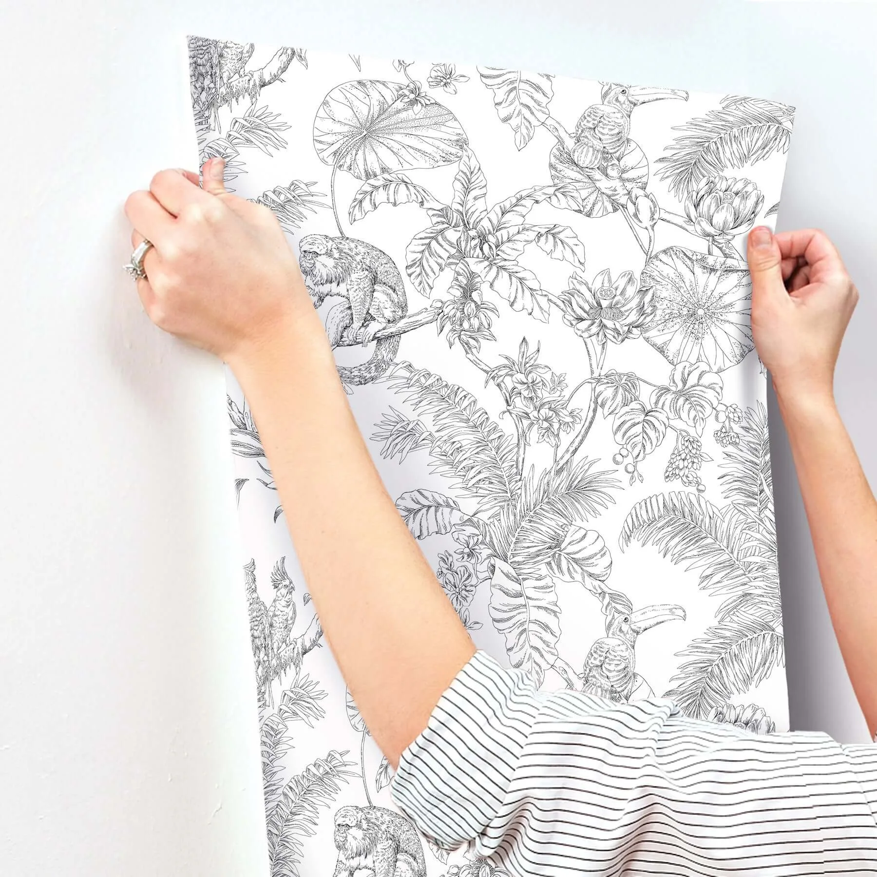 York Wallcoverings Tropical Sketch Toile wallpaper, color Black, SKU RT7841