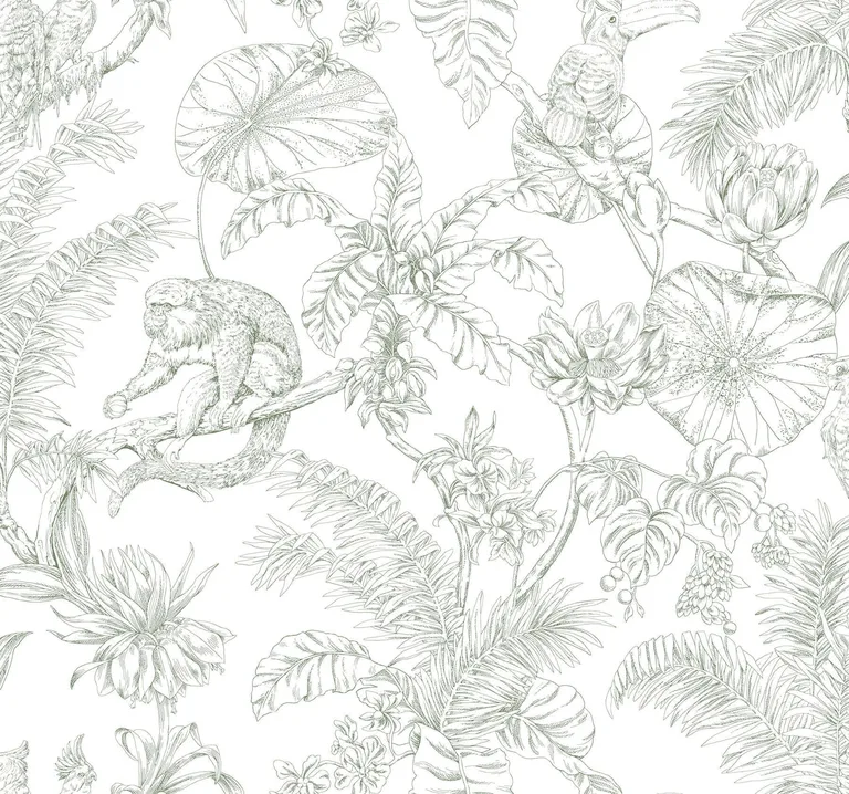 York Wallcoverings Tropical Sketch Toile wallpaper, color Forest, SKU RT7842