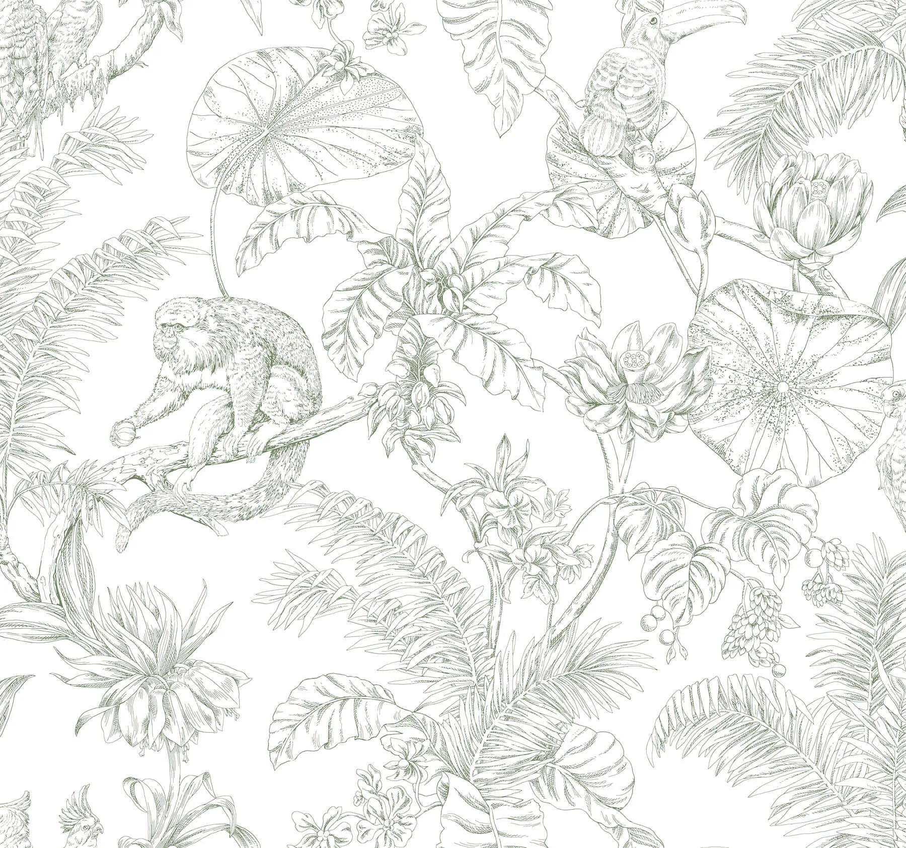York Wallcoverings Tropical Sketch Toile wallpaper, color Forest, SKU RT7842
