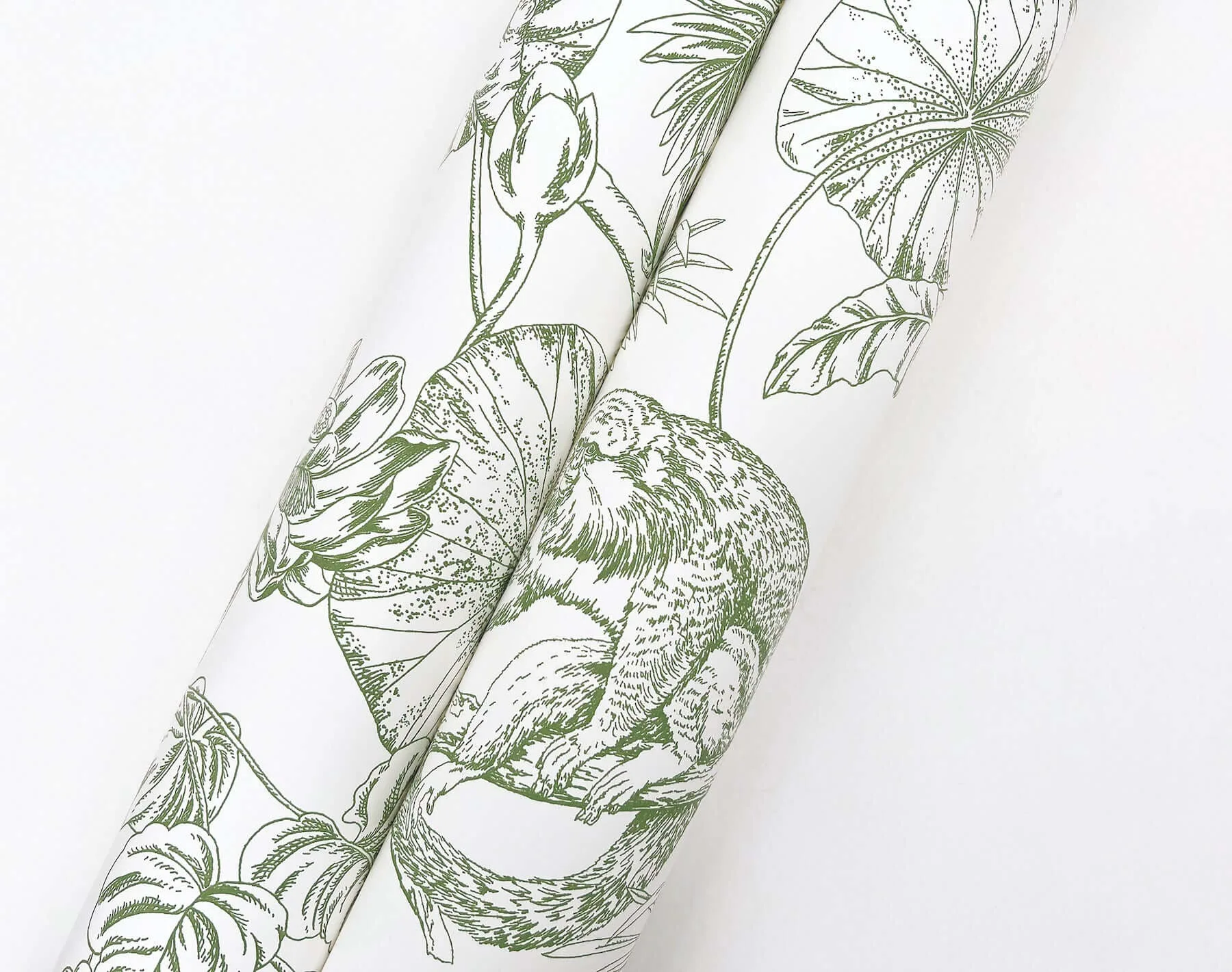 York Wallcoverings Tropical Sketch Toile wallpaper, color Forest, SKU RT7842