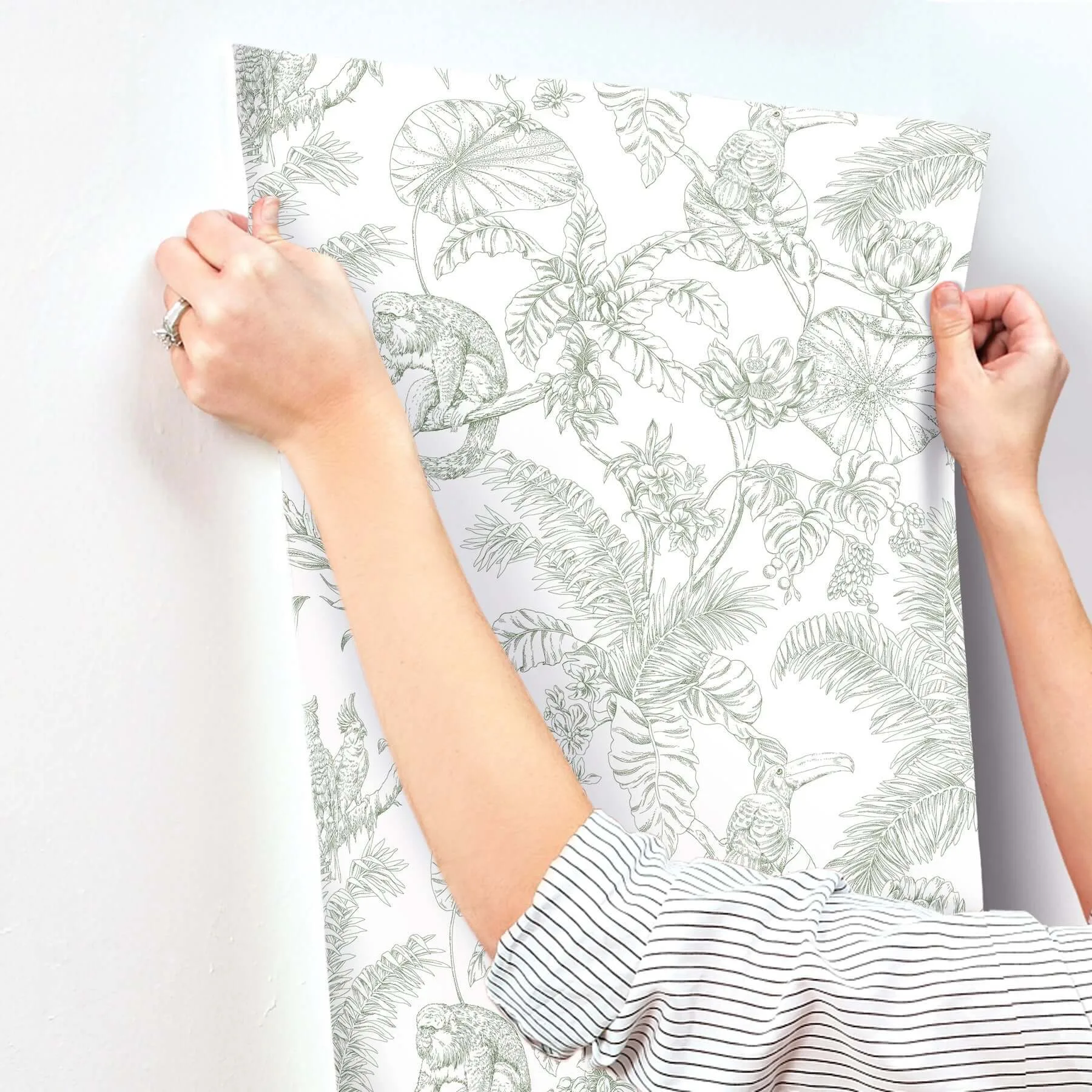 York Wallcoverings Tropical Sketch Toile wallpaper, color Forest, SKU RT7842