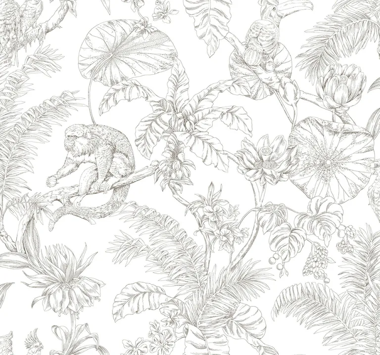 York Wallcoverings Tropical Sketch Toile wallpaper, color Brown, SKU RT7843