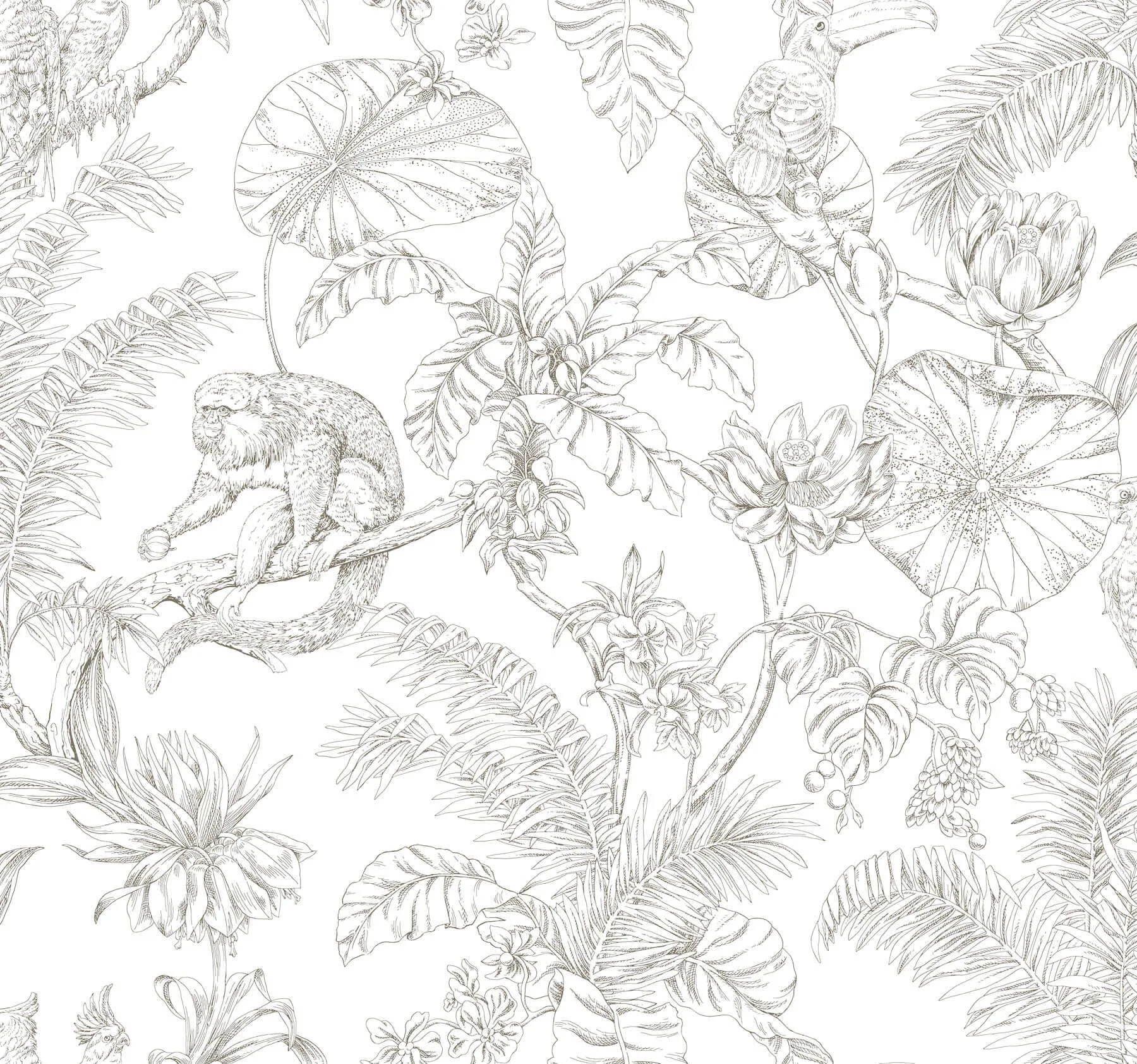 York Wallcoverings Tropical Sketch Toile wallpaper, color Brown, SKU RT7843