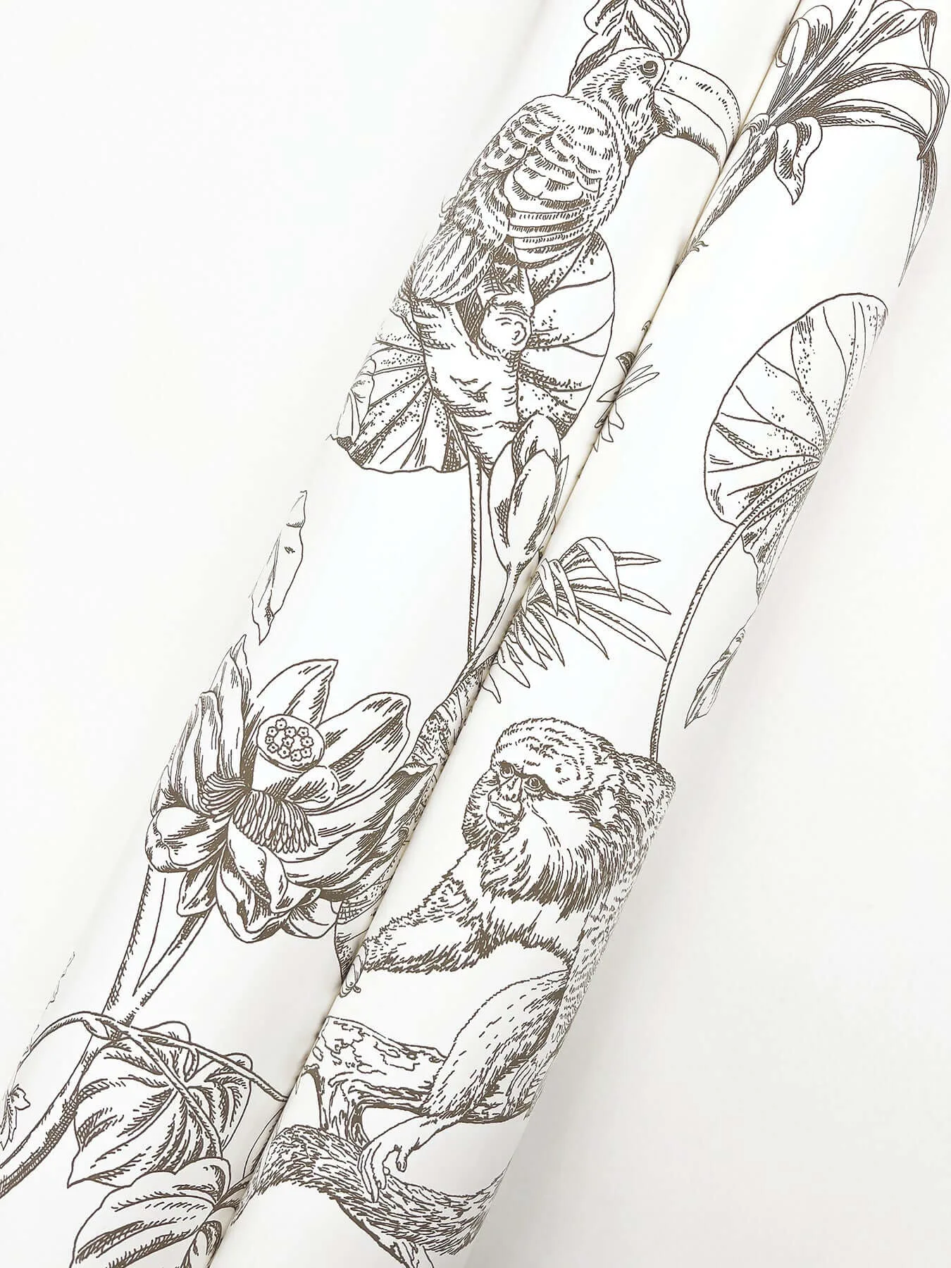 York Wallcoverings Tropical Sketch Toile - Brown Wallpaper | Buy Online York Wallcoverings Tropical Sketch Toile wallpaper, color Brown, SKU RT7843
