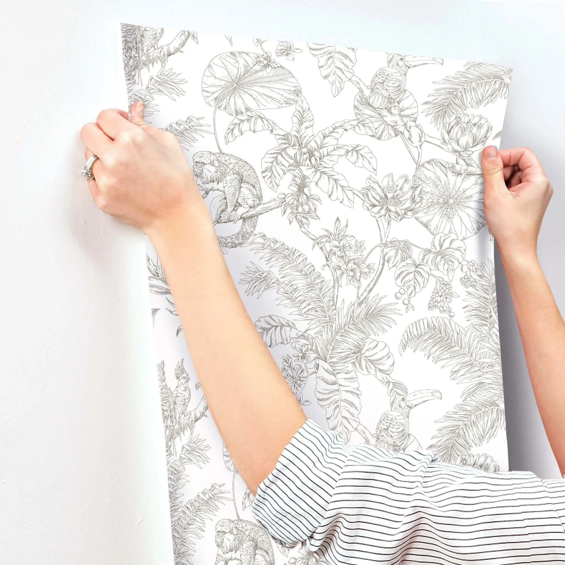York Wallcoverings Tropical Sketch Toile - Brown Wallpaper | Buy Online York Wallcoverings Tropical Sketch Toile wallpaper, color Brown, SKU RT7843